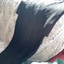 Midi black dress shimmery Image 4