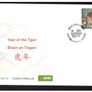 Collection 2010 Ireland Commemorative Stamps An Post First Day Cover (FDC). Collection of 21 covers. Image 5
