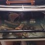 terrarium with accessories Image 3
