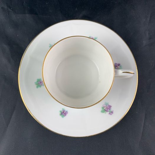 Antique Carl Teichert Meissen Demitasse Cup and Saucer