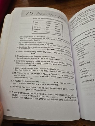 101 Exercises in English Idioms and Fixed Phrases