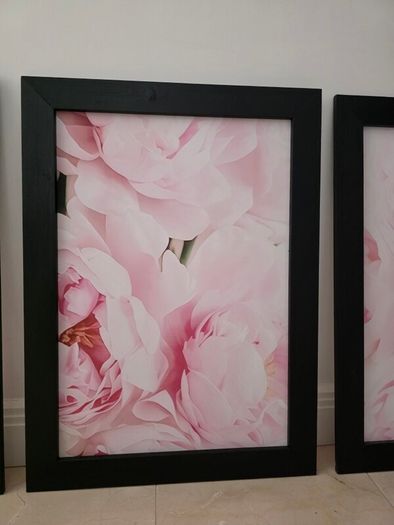 3 pictures with frame 53x72 cm