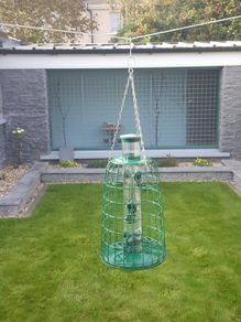 Bird Feeder