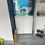 aquarium Image 2
