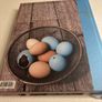 A Year at Avoca Cookery Book 3 - Hardback - as new Image 5