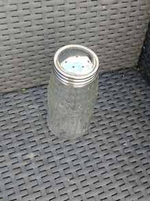 Cut Glass Vintage Sugar Shaker