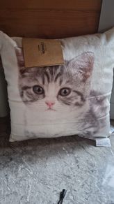 Bnwt small cushion
