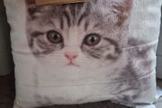 Bnwt small cushion