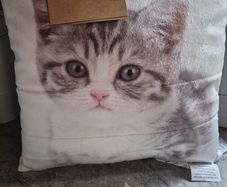 Bnwt small cushion