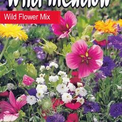 (W) Wild Meadow seeds Wild flower mix 1g (415847)
