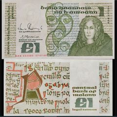 Ireland | 1989 | 1 Pound | P.70d | BAC 533503 | UNC