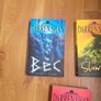 Darren Shan Books Image 2
