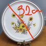 "Vintage Arklow Ireland Brendan Erin Stone Wild Flowers 8162" Chop Plate Image 2