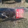 2000 toyota mr2 tein springs kyb shocks Image 2