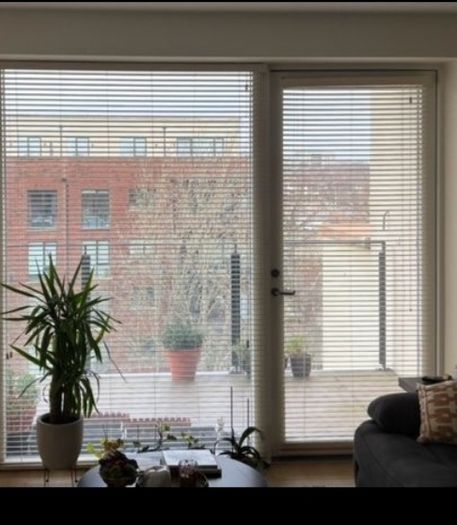 free blinds