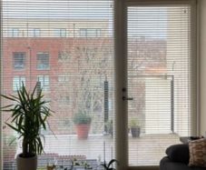 free blinds