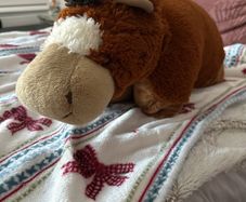 Horse plush pillow pet soft toy