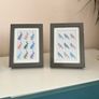 four framed pictures Image 3