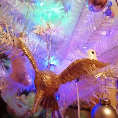 Pair of Gold Shimmering Hummingbirds