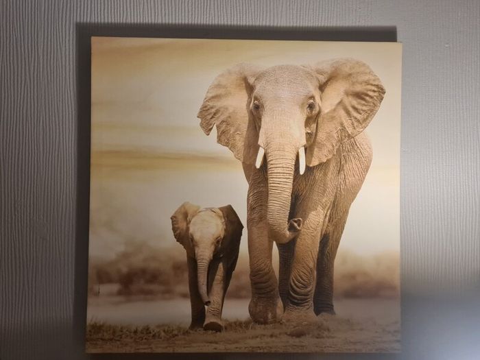 elephant canvas