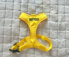 Dog harness