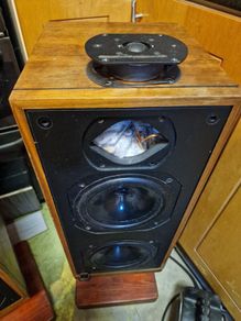 Bowers & Wilkins DM14