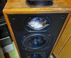 Bowers & Wilkins DM14
