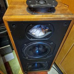 Bowers & Wilkins DM14