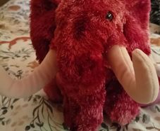 Ty Beanie Colosso Mammoth