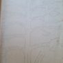 Medical. The Wonderful Story Of The Human Body With Special Draw Illustrations By W. Thornton Shells. First Edition Hardback In Good Condition. Image 5