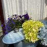 Le Creuset 29cm 4.7L Oval casserole in Coastal blue Image 4
