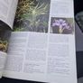 Complete Aquarium Encyclopaedia of Tropical Freshwater Fish  1 Image 10