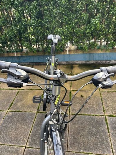 Vercelli Ladies Bike