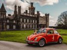 VW Vintage Beetle Image 6