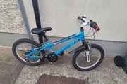 Boys 20" bike