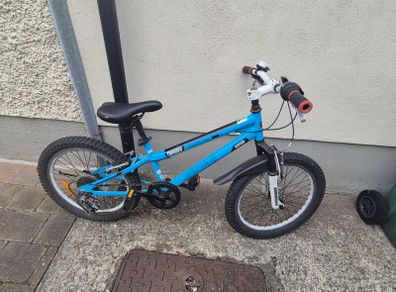 Boys 20" bike