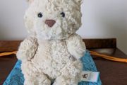 Jellycat white bear