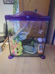 fish tank with accessories