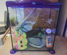 fish tank with accessories