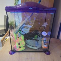fish tank with accessories