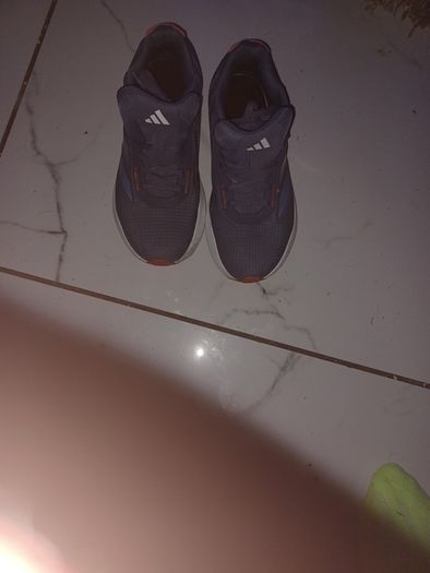 trainer/ Runners