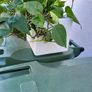 Indoor planter Image 4