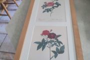 Framed Tripl Photo Of Roses Prints