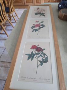 Framed Tripl Photo Of Roses Prints