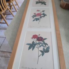 Framed Tripl Photo Of Roses Prints