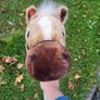 stick horse Image 3