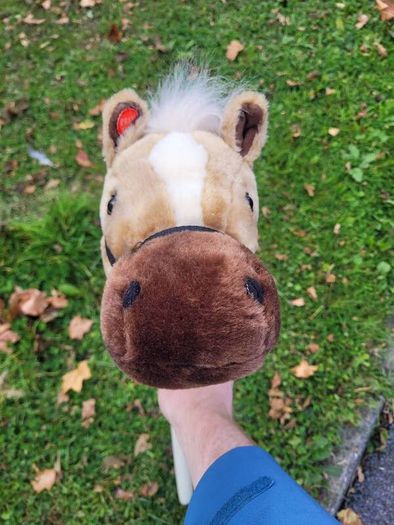 stick horse