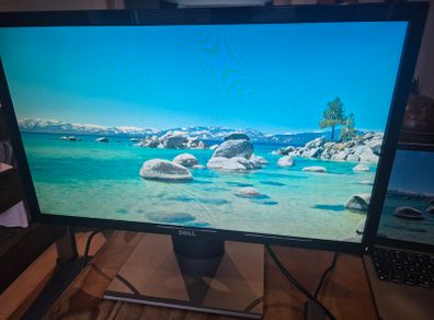 Dell 23.8" Computer Monitor