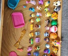 Toys Hatchimals, poopsies , Shopkins,Doorables, Crystal babies, Lps, and Nom Noms.