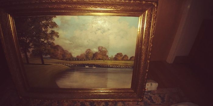 Beautiful original liam jones oil on canvas.